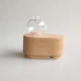 USB plug-in aroma diffuser